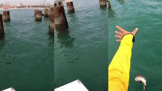 Береговой джиг у кромки Nowa Resort мгновенная поклевка groupers прямо под ногами у волнореза