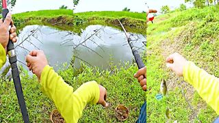 Tilapia на червя рыбалка в Palo Leyte Philippines берег пруд и классика донной оснастки