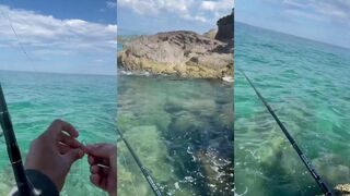 Прибрежная рыбалка по groupers на каменных горах используем особую проводку для хищника