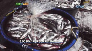 Born to be Wild морская рыбалка на lawlaw в Bulan Sorsogon Филиппины и жизнь у океана