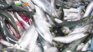 Born to be Wild морская рыбалка на lawlaw в Bulan Sorsogon Филиппины и жизнь у океана