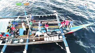 Born to be Wild морская рыбалка на lawlaw в Bulan Sorsogon Филиппины и жизнь у океана