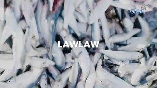 Born to be Wild морская рыбалка на lawlaw в Bulan Sorsogon Филиппины и жизнь у океана