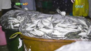 Born to be Wild морская рыбалка на lawlaw в Bulan Sorsogon Филиппины и жизнь у океана