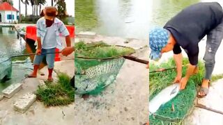 Рыбалка в Муйне Вьетнам и вопрос правда ли здесь можно встретить пиранью