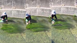 Рыбалка в реке руками традиционный способ ловли рыбы на Филиппинах