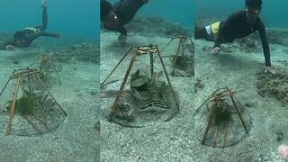 Подводная ловушка эксперимент за одну попытку поймать тонну рыбы и проверить старые методы рыбалки