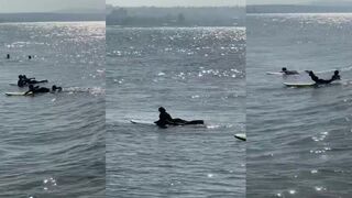 Утро в Муйне серферы ловят волну а я в это время рыбу и снимаю рыбалка контент