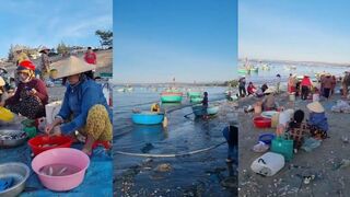 Утро в рыбацкой деревне Муйне часть 3 лодки возвращаются с моря и на берегу делят улов