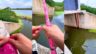 Рыбалка на кукурузу простая насадка и классический способ ловить карпа и карася в прудах