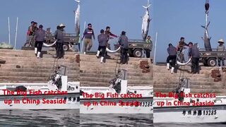 Ловим большую рыбу у морского побережья Шанхая и проверяем местный китайский seafood экшен