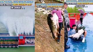 Когда открывают плотину рыба повсюду бесплатный день рыбалки в Китае