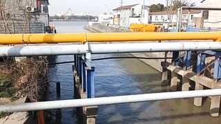 Самое популярное место для рыбалки в районе Yangpu Shanghai каждый день тут толпа с удочками