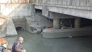 Самое популярное место для рыбалки в районе Yangpu Shanghai каждый день тут толпа с удочками