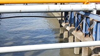 Самое популярное место для рыбалки в районе Yangpu Shanghai каждый день тут толпа с удочками