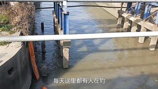 Самое популярное место для рыбалки в районе Yangpu Shanghai каждый день тут толпа с удочками