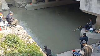 Самое популярное место для рыбалки в районе Yangpu Shanghai каждый день тут толпа с удочками