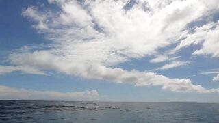 Филиппины большие волны человек за бортом повседневная жизнь у моря и риски океана