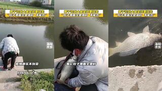 7 апреля Шанхай мужчина поймал большую рыбу и отпустил ее потому что внутри только икра