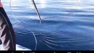 Fishing Thoddoo Maldives морская рыбалка на Мальдивах вокруг острова Тодду и коралловых рифов