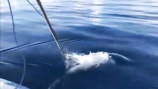 Fishing Thoddoo Maldives морская рыбалка на Мальдивах вокруг острова Тодду и коралловых рифов