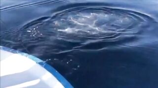 Fishing Thoddoo Maldives морская рыбалка на Мальдивах вокруг острова Тодду и коралловых рифов
