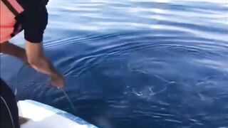 Fishing Thoddoo Maldives морская рыбалка на Мальдивах вокруг острова Тодду и коралловых рифов