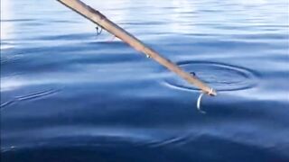 Fishing Thoddoo Maldives морская рыбалка на Мальдивах вокруг острова Тодду и коралловых рифов