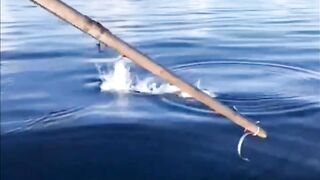 Fishing Thoddoo Maldives морская рыбалка на Мальдивах вокруг острова Тодду и коралловых рифов