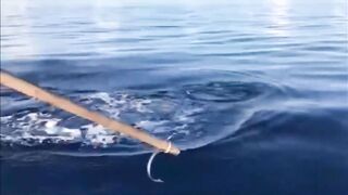 Fishing Thoddoo Maldives морская рыбалка на Мальдивах вокруг острова Тодду и коралловых рифов