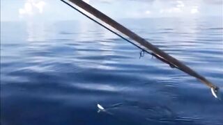 Fishing Thoddoo Maldives морская рыбалка на Мальдивах вокруг острова Тодду и коралловых рифов