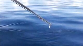 Fishing Thoddoo Maldives морская рыбалка на Мальдивах вокруг острова Тодду и коралловых рифов