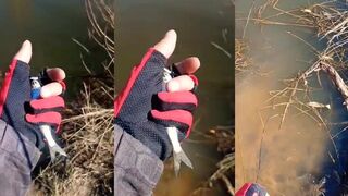 Улейка на мормышку озеро Shanghai деликатная зимняя рыбалка на микроджиг по первому льду