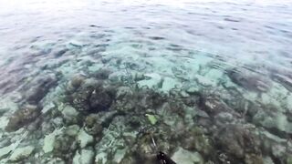 Морская рыбалка на Мальдивах в водах полных grouper тропический остров и тёплое синее море