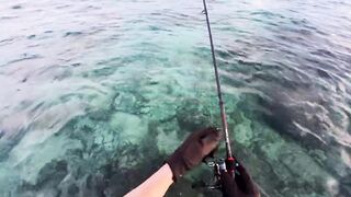 Морская рыбалка на Мальдивах в водах полных grouper тропический остров и тёплое синее море