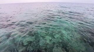 Морская рыбалка на Мальдивах в водах полных grouper тропический остров и тёплое синее море
