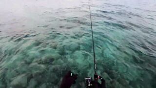 Морская рыбалка на Мальдивах в водах полных grouper тропический остров и тёплое синее море