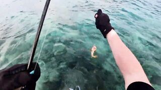 Морская рыбалка на Мальдивах в водах полных grouper тропический остров и тёплое синее море