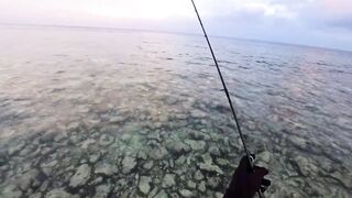 Морская рыбалка на Мальдивах в водах полных grouper тропический остров и тёплое синее море