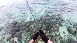 Морская рыбалка на Мальдивах в водах полных grouper тропический остров и тёплое синее море