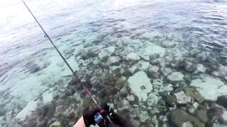 Морская рыбалка на Мальдивах в водах полных grouper тропический остров и тёплое синее море