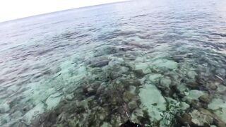 Морская рыбалка на Мальдивах в водах полных grouper тропический остров и тёплое синее море