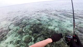 Морская рыбалка на Мальдивах в водах полных grouper тропический остров и тёплое синее море