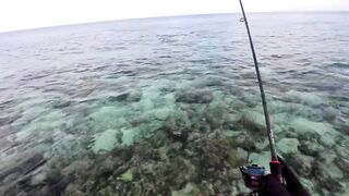 Морская рыбалка на Мальдивах в водах полных grouper тропический остров и тёплое синее море