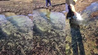 Salalah fishing день на пляже с удочкой и поиском рабочих точек в Аравийском море