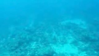 Amazing View Guesthouse Thoddoo романтический ужин после рыбалки на bikini beach и свежие фрукты