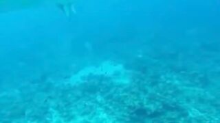 Amazing View Guesthouse Thoddoo романтический ужин после рыбалки на bikini beach и свежие фрукты