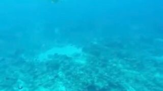 Amazing View Guesthouse Thoddoo романтический ужин после рыбалки на bikini beach и свежие фрукты