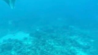 Amazing View Guesthouse Thoddoo романтический ужин после рыбалки на bikini beach и свежие фрукты