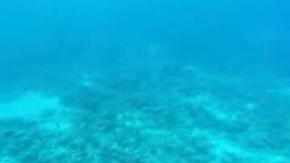 Amazing View Guesthouse Thoddoo романтический ужин после рыбалки на bikini beach и свежие фрукты